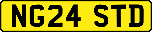 NG24STD