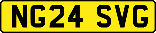 NG24SVG