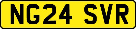 NG24SVR