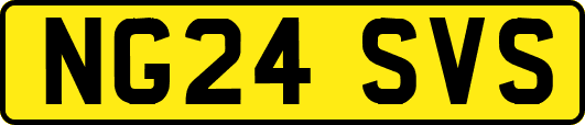 NG24SVS