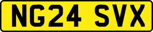 NG24SVX
