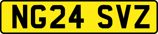 NG24SVZ