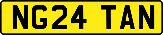 NG24TAN