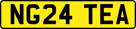 NG24TEA