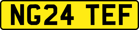NG24TEF