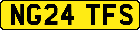 NG24TFS