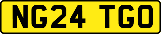 NG24TGO