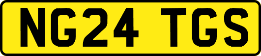 NG24TGS