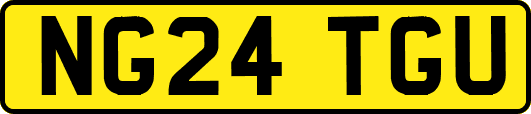 NG24TGU