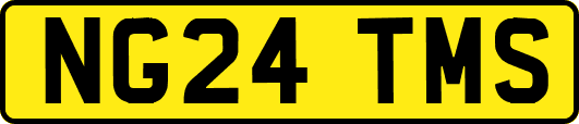 NG24TMS