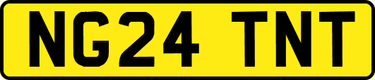 NG24TNT