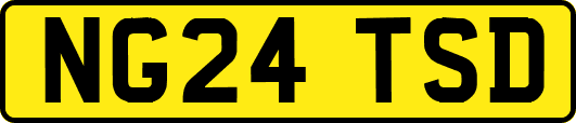 NG24TSD