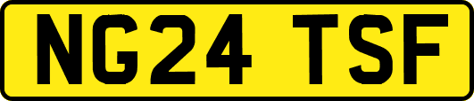 NG24TSF