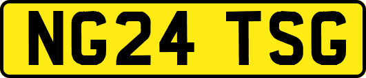 NG24TSG