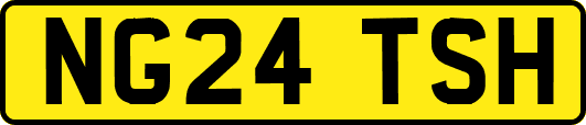 NG24TSH