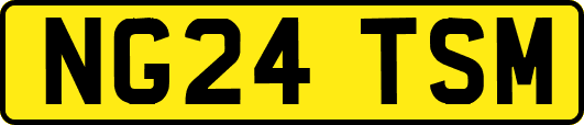 NG24TSM