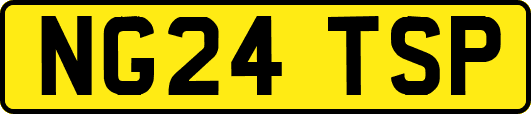 NG24TSP