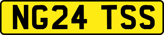 NG24TSS