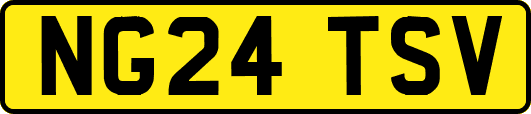 NG24TSV