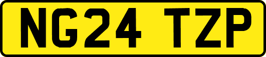 NG24TZP