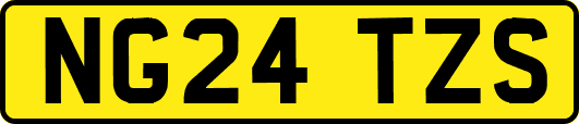 NG24TZS