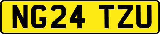 NG24TZU