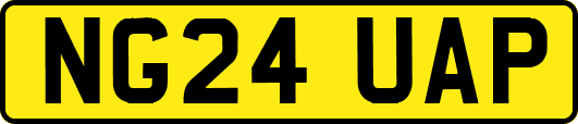 NG24UAP