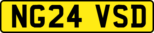 NG24VSD
