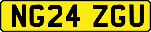 NG24ZGU