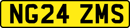 NG24ZMS