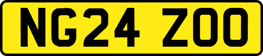 NG24ZOO