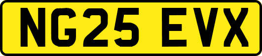 NG25EVX