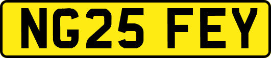 NG25FEY