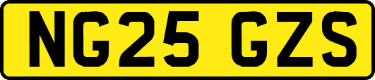 NG25GZS
