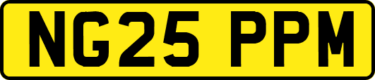 NG25PPM
