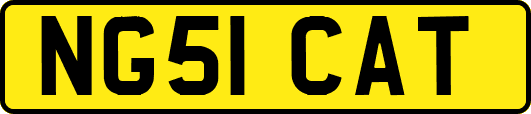 NG51CAT