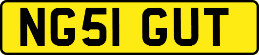 NG51GUT