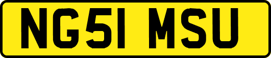 NG51MSU