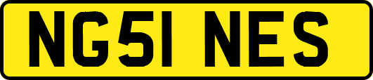 NG51NES