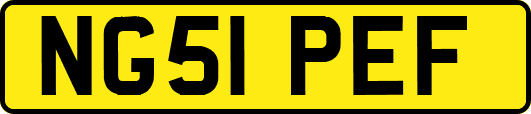 NG51PEF