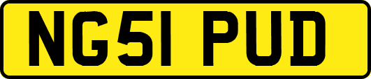 NG51PUD