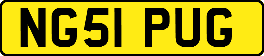 NG51PUG
