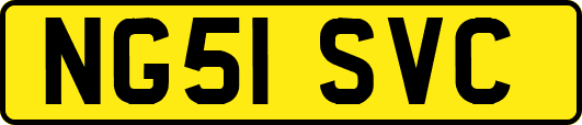 NG51SVC