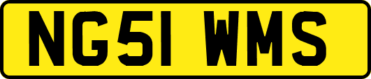NG51WMS