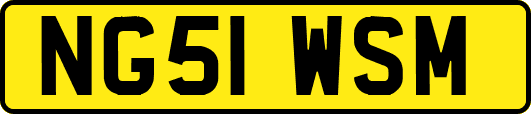 NG51WSM