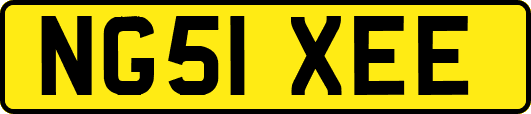 NG51XEE