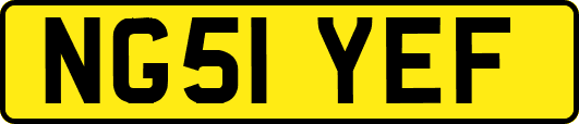 NG51YEF