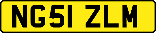 NG51ZLM