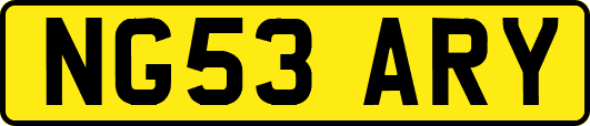 NG53ARY