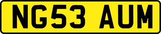NG53AUM